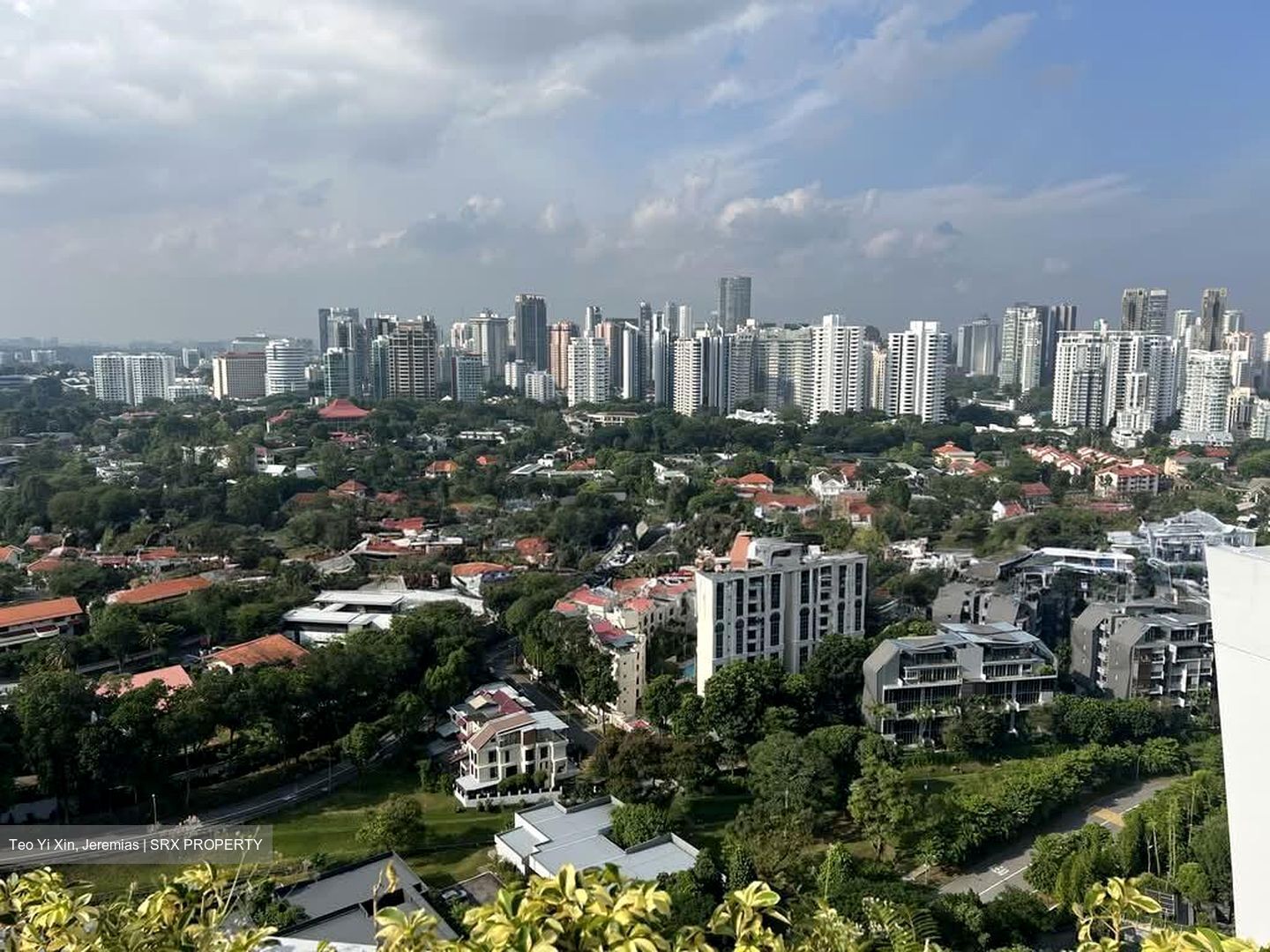 The Crest (D3), Condominium #599375621
